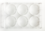 Surface Treated SterileTissue Culture Plates