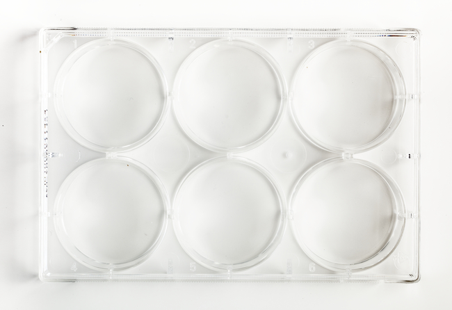 Surface Treated SterileTissue Culture Plates