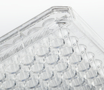 96-Well, Cell Culture-Treated, Flat-Bottom Microplate