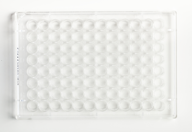 96-Well, Cell Culture-Treated, Flat-Bottom Microplate