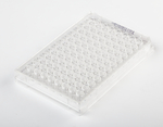 96-Well, Cell Culture-Treated, U-Shaped-Bottom Microplate