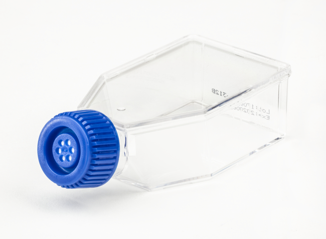 Surface Treated Sterile Tissue Culture Flasks, Vented Cap