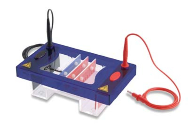 Sub-Gel Midi Horizontal Gel Electrophoresis Unit