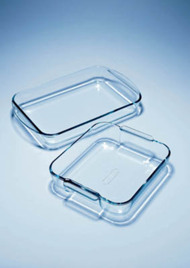 Pyrex&trade; Borosilicate Glass General Purpose Dish