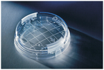 RODAC&trade; SNAP LID Sabouraud Dextrose Agar (SDA) with Lecithin and Polysorbate 80 (LP80)