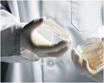 RODAC&trade; SNAP LID Sabouraud Dextrose Agar (SDA) with Lecithin and Polysorbate 80 (LP80)
