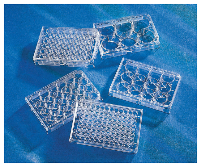 Costar&trade; 96-Well, Cell Culture-Treated, Flat-Bottom Microplate
