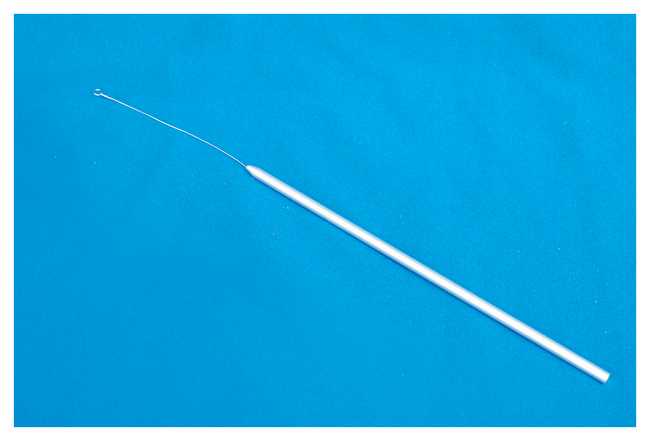 Twisted Nichrome&trade; Inoculating Loops with Handles