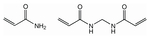 BioAcryl-P (30%, 19:1), Thermo Scientific Chemicals