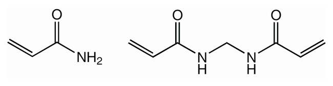 BioAcryl-P (30%, 19:1), Thermo Scientific Chemicals