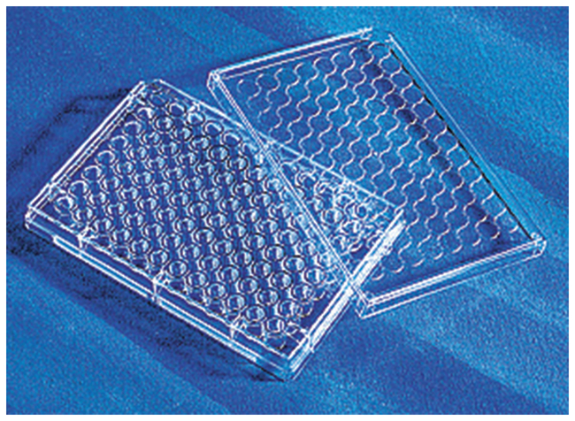 Costar&trade; 96-Well, Cell Culture-Treated, U-Shaped-Bottom Microplate