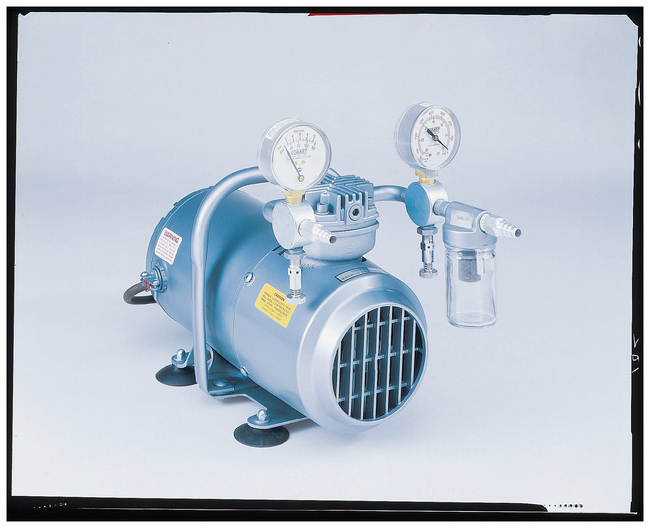 Pressure/Vacuum Pump