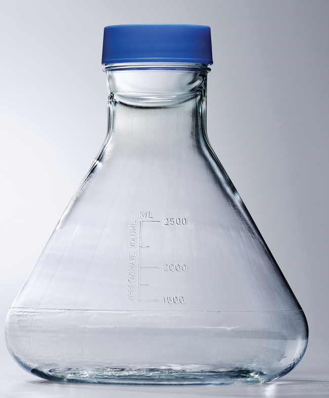 Nalgene&trade; Single-Use PETG Erlenmeyer Flasks with Plain Bottom: Sterile