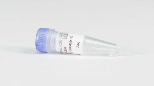 TXK-NanoLuc Fusion Vector, 20microg