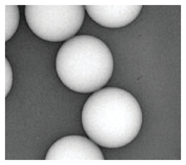 COUNT-CAL&trade; Count Precision Size Standards