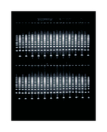 Owl&trade; EasyCast&trade; B3 Gel System with Built-In Recirculation