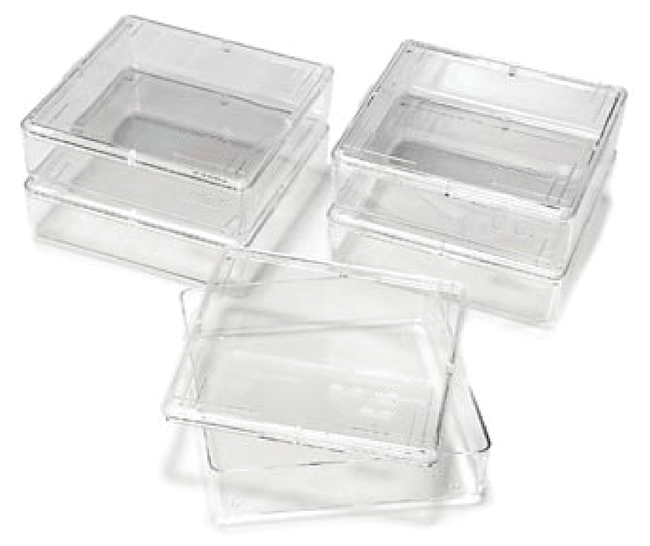 Owl&trade; Gel Staining Box