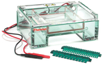 Owl&trade; EasyCast&trade; B2 Mini Gel Electrophoresis Systems