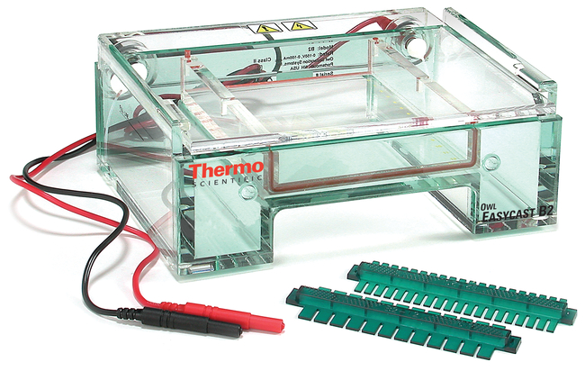 Owl&trade; EasyCast&trade; B2 Mini Gel Electrophoresis Systems