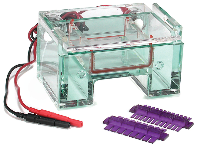 Owl&trade; EasyCast&trade; B1A Mini Gel Electrophoresis Systems
