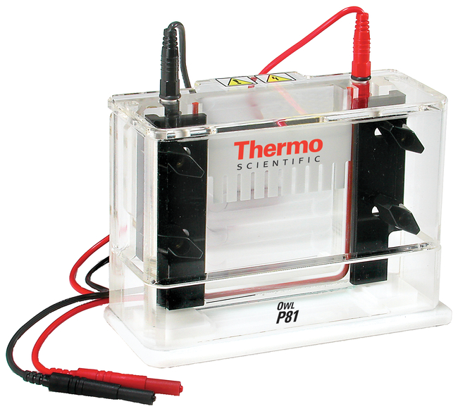 Owl&trade; P81 Single-Sided Vertical Electrophoresis System, 10 x 10cm gel size, 150mL buffer volume