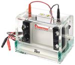 Owl&trade; Dual-Gel Vertical Electrophoresis Systems