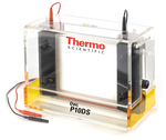 Owl&trade; Dual-Gel Vertical Electrophoresis Systems