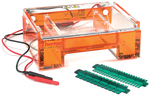 Owl&trade; EasyCast&trade; B2 Mini Gel Electrophoresis Systems