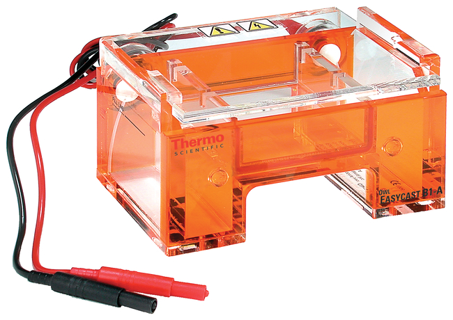 Owl&trade; EasyCast&trade; B1A Mini Gel Electrophoresis Systems