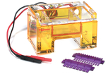 Owl&trade; EasyCast&trade; B1A Mini Gel Electrophoresis Systems