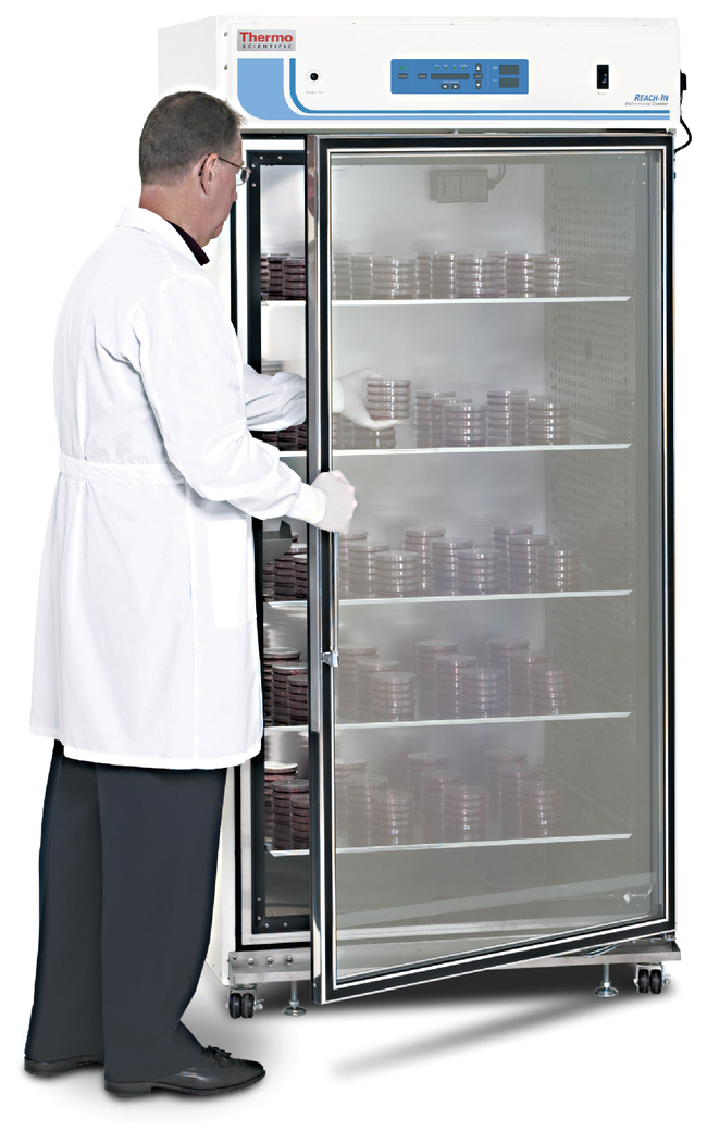 Large-Capacity Reach-In CO<sub>2</sub> Incubator, 821 L, Polished Stainless Steel