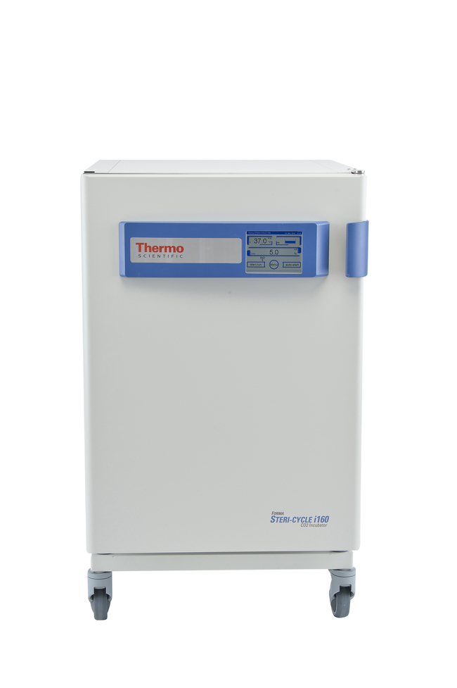 Forma&trade; Steri-Cycle&trade; i160 CO<sub>2</sub> 165 L Incubator