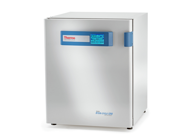 Forma&trade; Steri-Cycle&trade; i250 CO<sub>2</sub> Incubator, 255 L