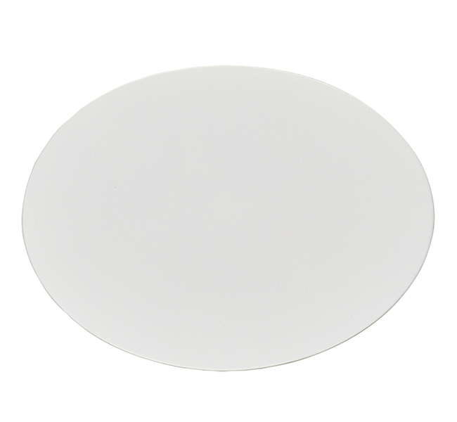 Nalgene&trade; Membrane and Prefilter Disks