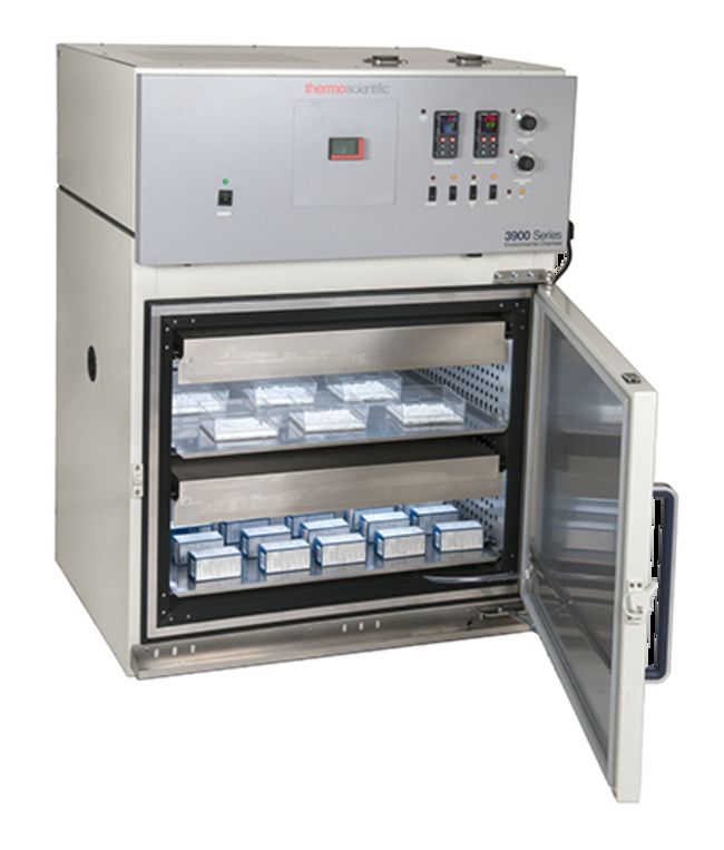 Vertical Light Chamber, 311 L, Stainless Steel, Type 304 /1.4301, 2B Finish