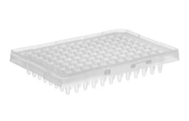 MicroAmp&trade; Optical 96-Well Reaction Plate